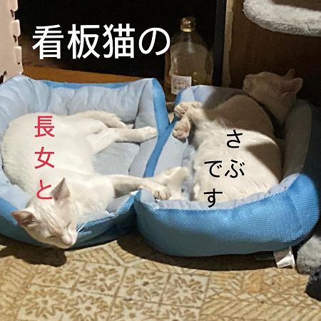 Guest House Salt Beach Yokkaichi Bagian luar foto