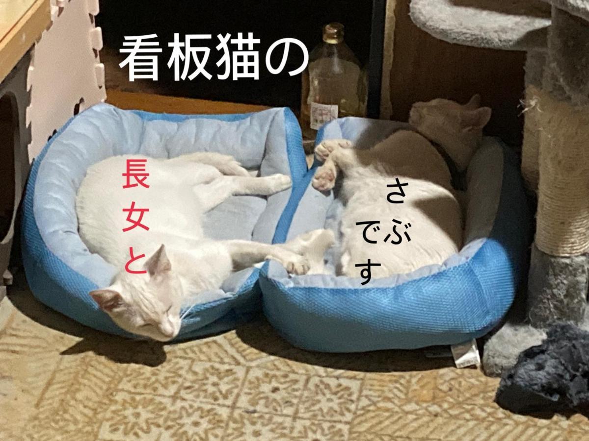 Guest House Salt Beach Yokkaichi Bagian luar foto